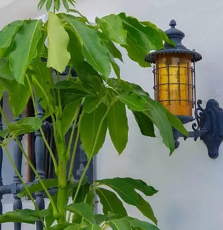 Essence Of Monteleon Country house San Bartolome de Tirajana (Gran Canaria)